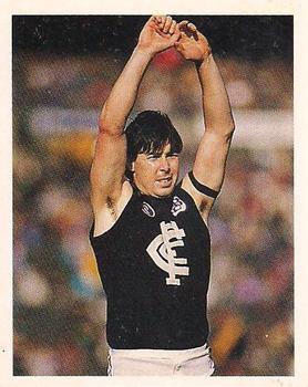 1993 Select AFL Stickers #47 David Kernahan Front